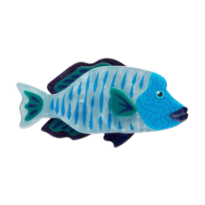 Erstwilder Great Barrier Reef - Maori Wrasse Brooch
