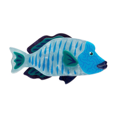 Erstwilder Great Barrier Reef - Maori Wrasse Brooch
