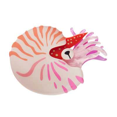 Erstwilder Great Barrier Reef - Chambered Nautilus Brooch