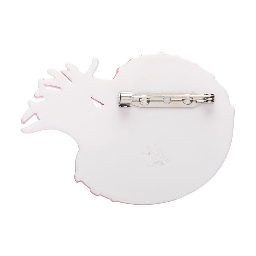 Erstwilder Great Barrier Reef - Chambered Nautilus Brooch